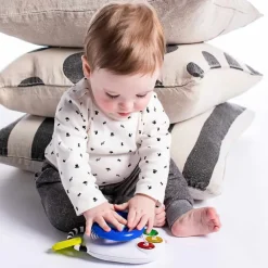 Baby Einstein Sjove melodier bag rattet