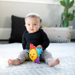 Baby Einstein Star Bright Symphony