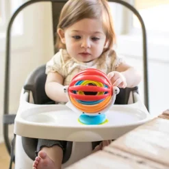 Baby Einstein Sticky Spinner