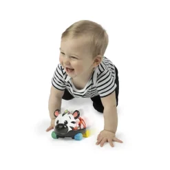 Baby Einstein Zen Oball Køretøj