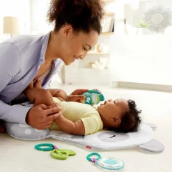 Fisher Price All - in - one Panda Playmat