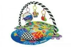 Freddie the Firefly Gym