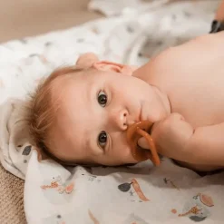 Haakaa Silikone Sut - Amber