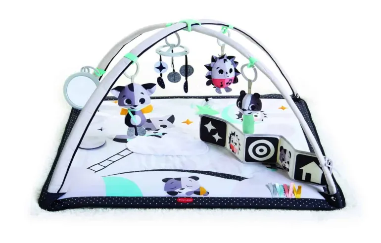 Magical Tales Gymini