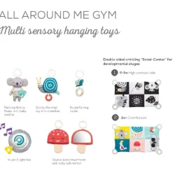 TAF All around me gym